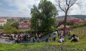 image_16664