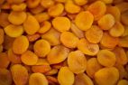 image_16736